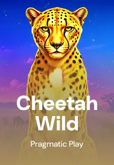 Cheetah Wild